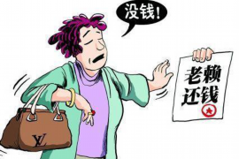 随县融资清欠服务